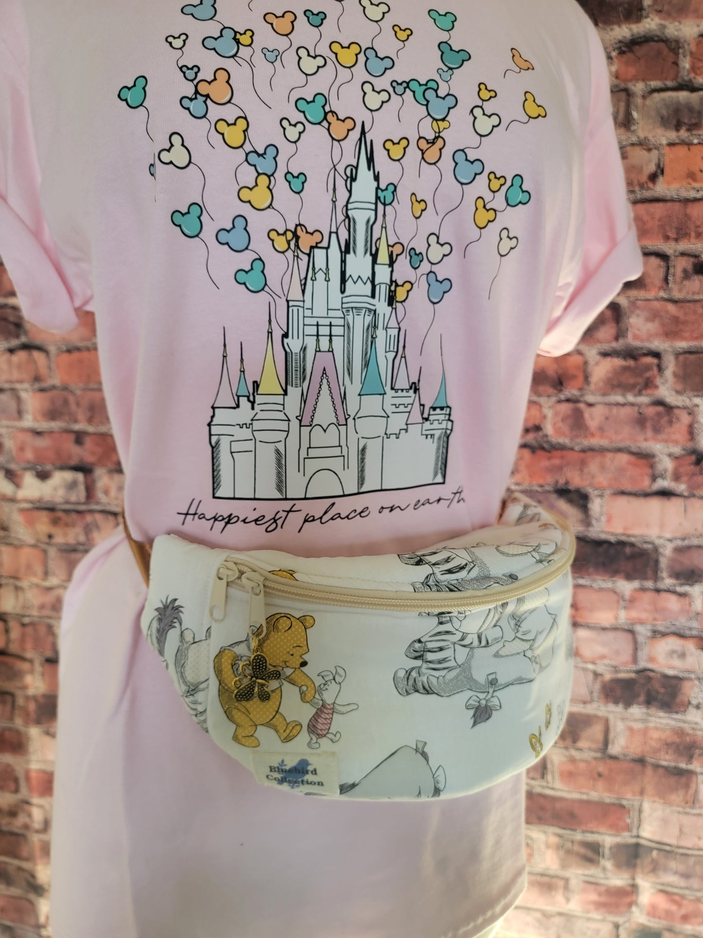 Disney Fanny Packs